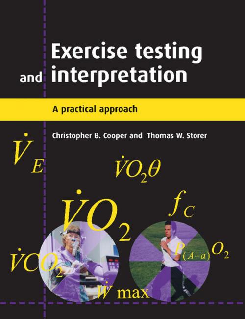 Cover of the book Exercise Testing and Interpretation by Christopher B. Cooper, Thomas W. Storer, Cambridge University Press