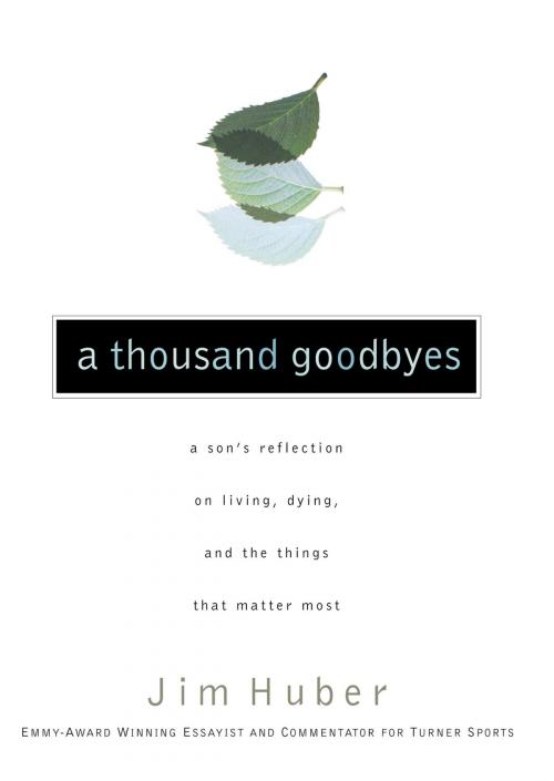 Cover of the book A Thousand Goodbyes by Jim Huber, Thomas Nelson