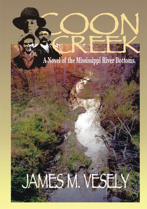 Cover of the book Coon Creek by JAMES M. VESELY, iUniverse