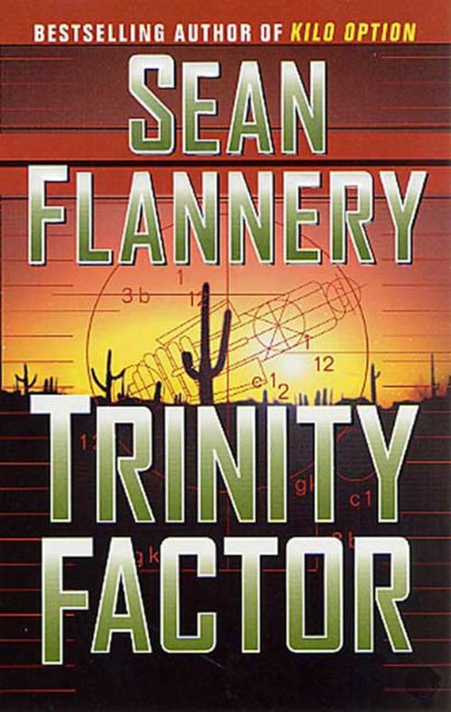 Cover of the book Trinity Factor by Sean Flannery, Tom Doherty Associates