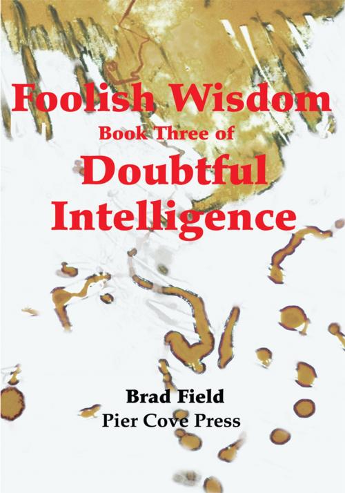 Cover of the book Foolish Wisdom by Brad Field, iUniverse