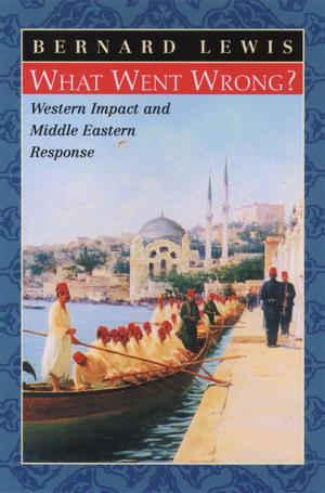 Cover of the book What Went Wrong?:Western Impact and Middle Eastern Response by William E. Gienapp