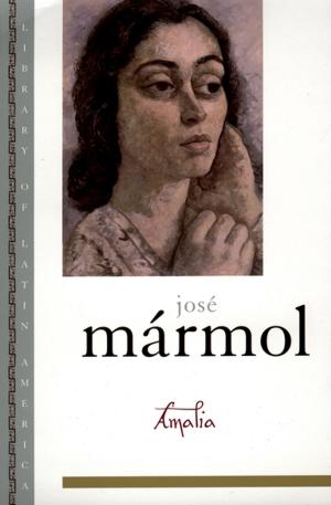 Cover of the book Amalia by Rebecca Gordon