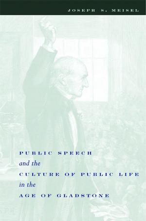 Cover of the book Public Speech and the Culture of Public Life in the Age of Gladstone by 