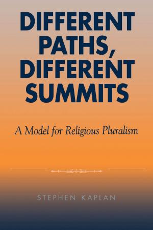 Cover of the book Different Paths, Different Summits by Vincent Phillip Munoz