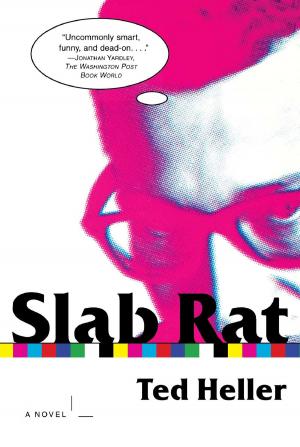 Cover of the book Slab Rat by Chip Kidd
