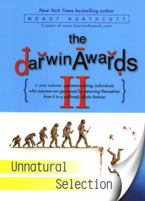 Cover of the book The Darwin Awards II by Professor Richard Wiseman
