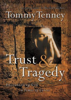 Cover of the book Trust and Tragedy by Darrell Ankarlo