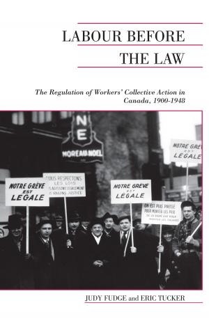 Cover of the book Labour Before the Law by Axel van den Berg, Charles Plante, Hicham Raiq, Christine Proulx, Sam  Faustmann