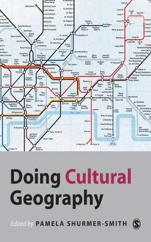 Cover of the book Doing Cultural Geography by 