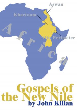 Cover of the book Gospels of the New Nile by Gail Logan