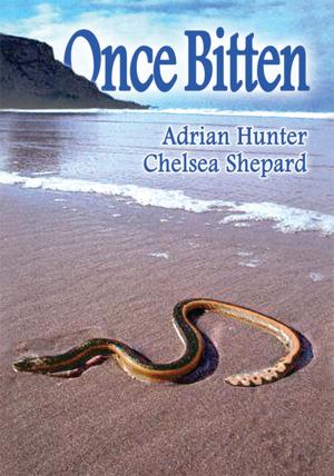 Cover of the book Once Bitten by Lila Snow