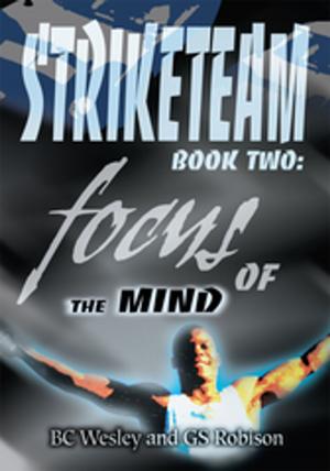 bigCover of the book Striketeam Book Two by 