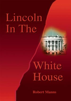 Cover of the book Lincoln in the White House by Vladimiro Merisi