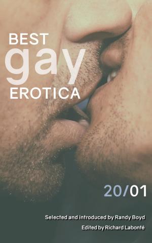 Cover of Best Gay Erotica 2001