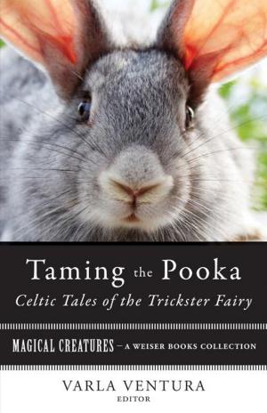 Cover of Taming the Pooka, Celtic Tales of the Trickster Fairy