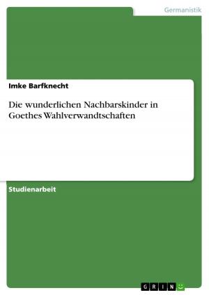 Cover of the book Die wunderlichen Nachbarskinder in Goethes Wahlverwandtschaften by Sandra Friedrichs