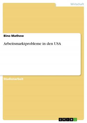 Cover of the book Arbeitsmarktprobleme in den USA by Burkhard Schröter