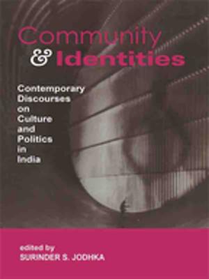 Cover of the book Community and Identities by John L. Sullivan
