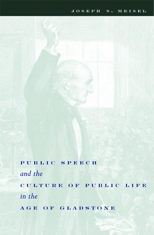 Cover of the book Public Speech and the Culture of Public Life in the Age of Gladstone by Joseph Meisel, Columbia University Press