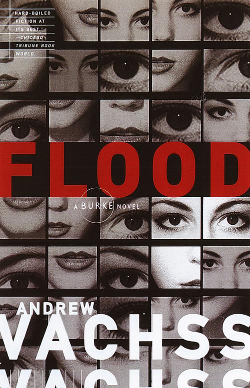 Cover of the book Flood by Andrew Vachss, Knopf Doubleday Publishing Group