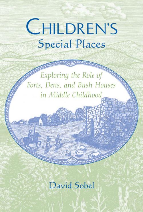 Cover of the book Children’s Special Places by David Sobel, Wayne State University Press