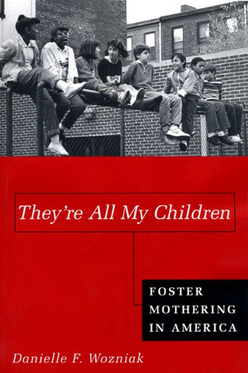 Cover of the book They're All My Children by Danielle Wozniak, NYU Press