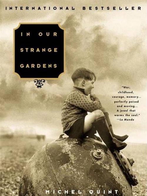 Cover of the book In Our Strange Gardens by Michel Quint, Penguin Publishing Group