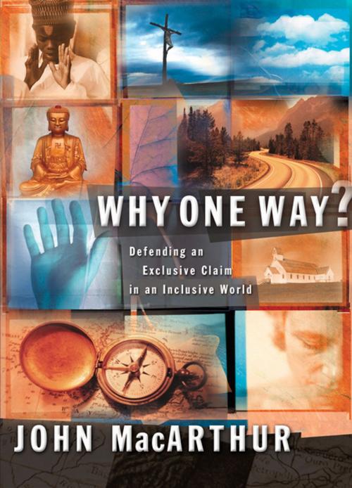 Cover of the book Why One Way? by John F. MacArthur, Thomas Nelson