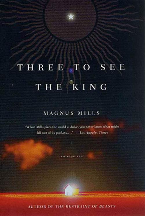 Cover of the book Three to See the King by Magnus Mills, Picador