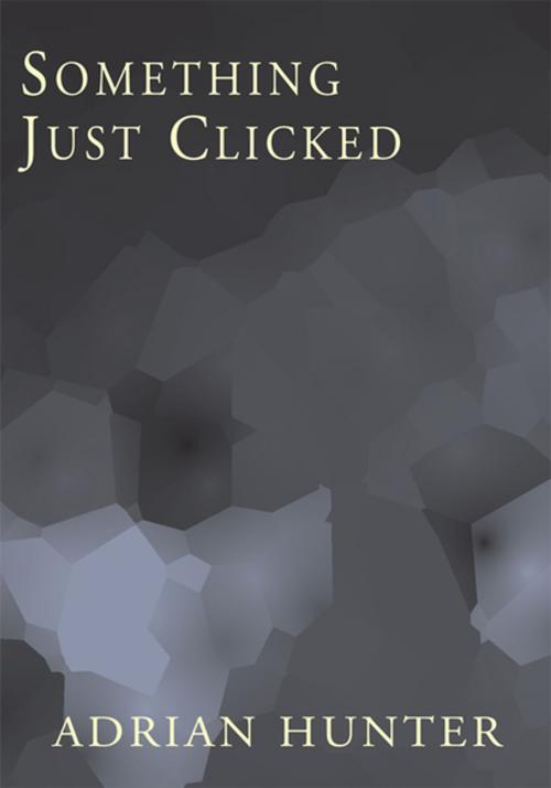 Cover of the book Something Just Clicked by Adrian Hunter, Xlibris US