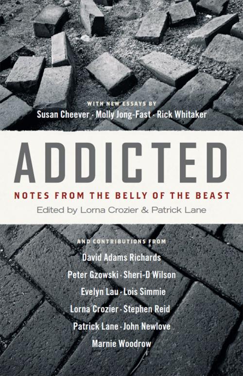 Cover of the book Addicted by , Greystone Books Ltd.