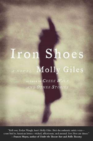 Cover of the book Iron Shoes by Steve Erickson