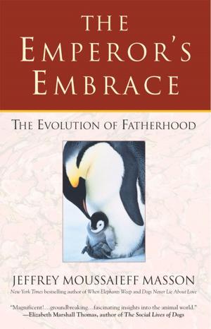 Cover of the book The Emperor's Embrace by Elisha Goldstein, Ph.D.