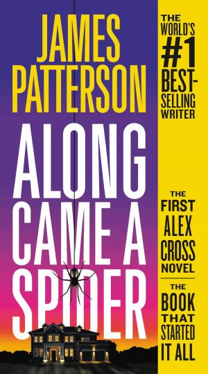 Cover of the book Along Came a Spider by Amanda Anderson