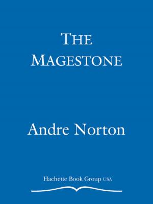 Cover of the book The Magestone by Christian Jacq