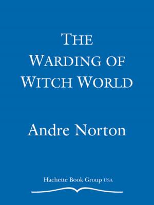 bigCover of the book The Warding of Witch World by 