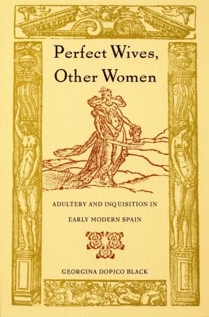 Cover of the book Perfect Wives, Other Women by Jane Blocker