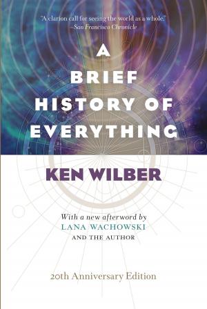 Cover of the book A Brief History of Everything by Laraine Herring