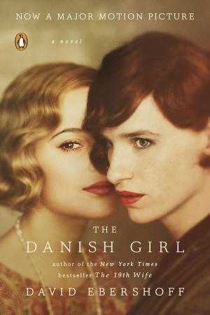 Cover of the book The Danish Girl by John R. Hale