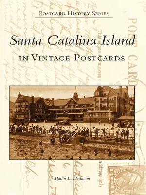 Book cover of Santa Catalina Island in Vintage Postcards