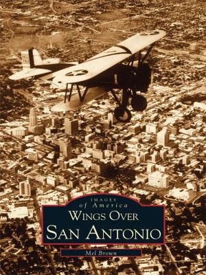 Cover of the book Wings Over San Antonio by Daniele Fazari