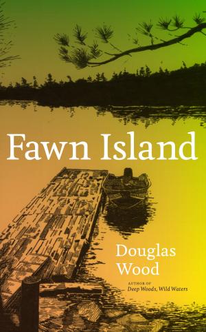 Cover of the book Fawn Island by Leshu Torchin