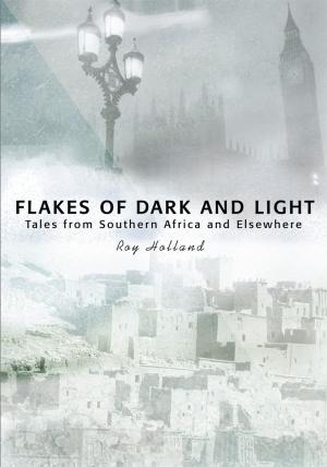 Cover of the book Flakes of Dark and Light by Meryle Wooster Rubenstein
