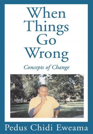 Cover of the book When Things Go Wrong by Kabudi Wanga Wanzala
