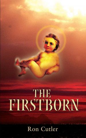 Cover of the book The Firstborn by Harry Walther