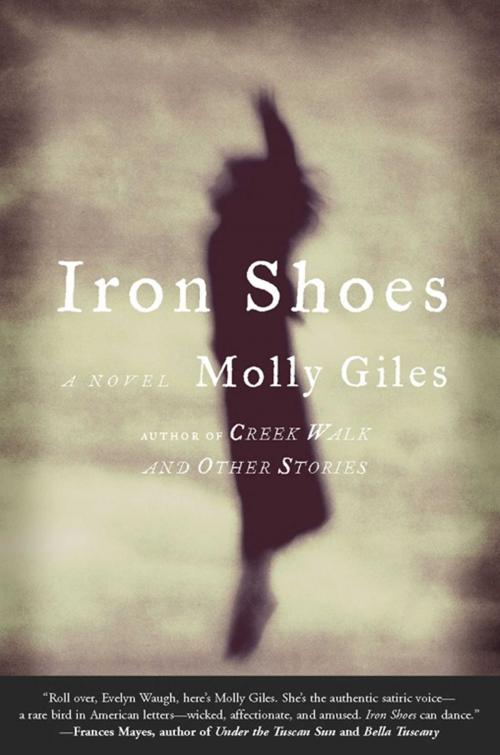 Cover of the book Iron Shoes by Molly Giles, Simon & Schuster