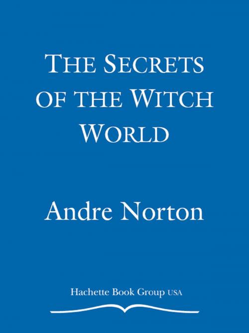 Cover of the book The Secrets of the Witch World by Andre Norton, Grand Central Publishing
