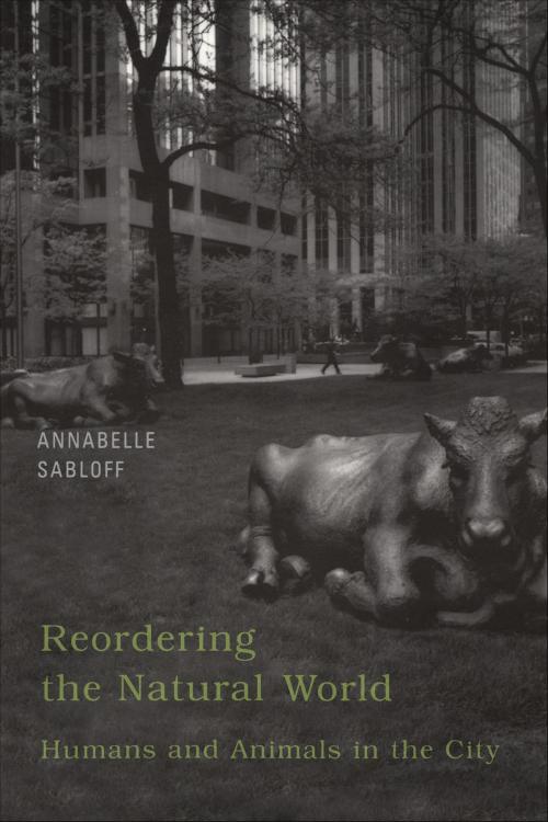 Cover of the book Reordering the Natural World by Annabelle Sabloff, University of Toronto Press, Scholarly Publishing Division
