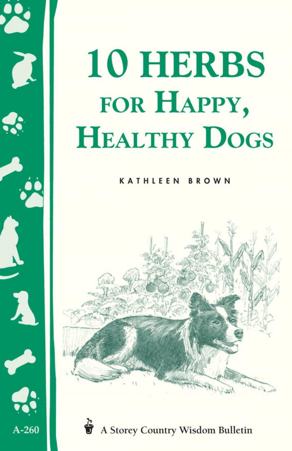 Big bigCover of 10 Herbs for Happy, Healthy Dogs